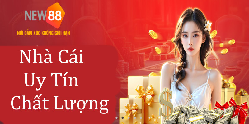 Những thông tin ban đầu về nhà cái NEW88